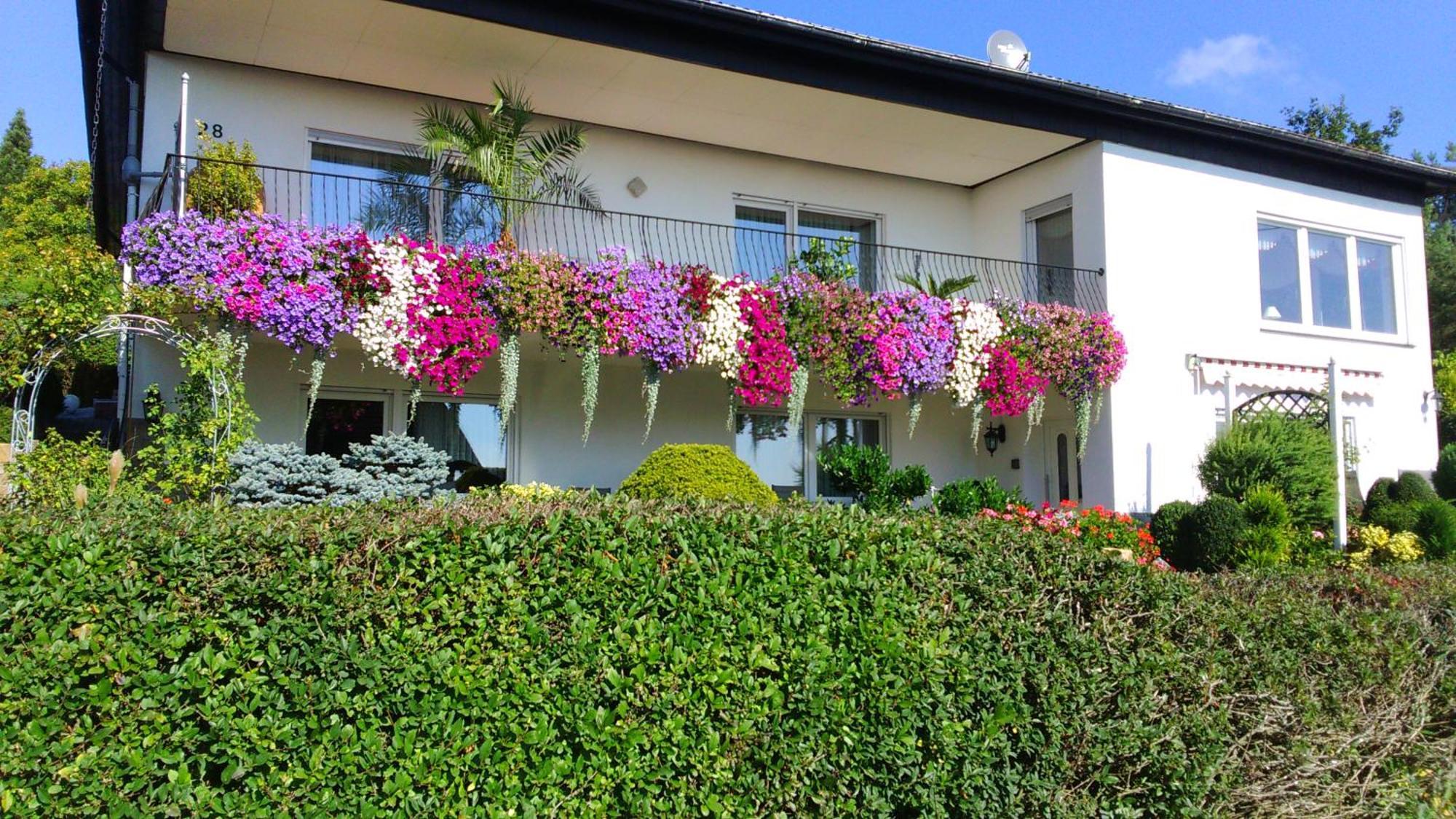 Haus Alexandra Schoneberg (Bad Kreuznach) Exterior foto